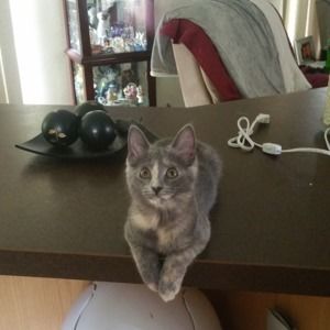 Meet your Posher, Delonda